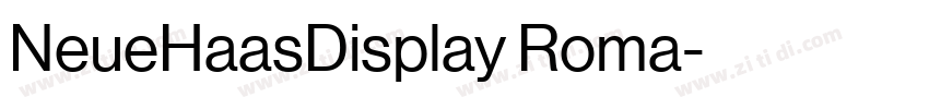 NeueHaasDisplay Roma字体转换